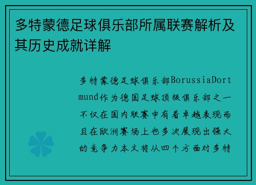 多特蒙德足球俱乐部所属联赛解析及其历史成就详解